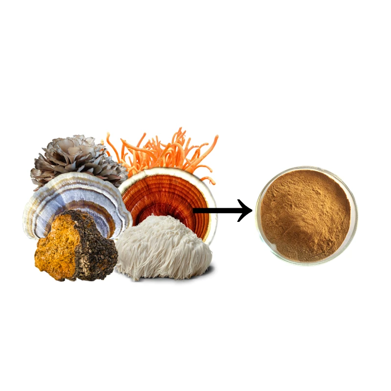 6 in 1 Powerful Mushroom Extract Powder 30% Beta Glucan  - Lions Mane, Reishi, Cordyceps, Chaga, Turkey Tail, Maitake
