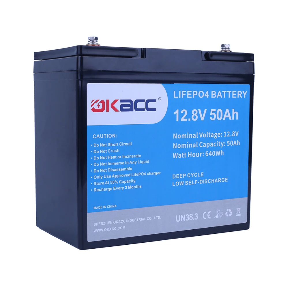 High Power Deep Cycle Solar  Bms Lithium Ion Batteries  Eco  Li  Lfp 12V 50Ah Lifepo4 Battery Pack
