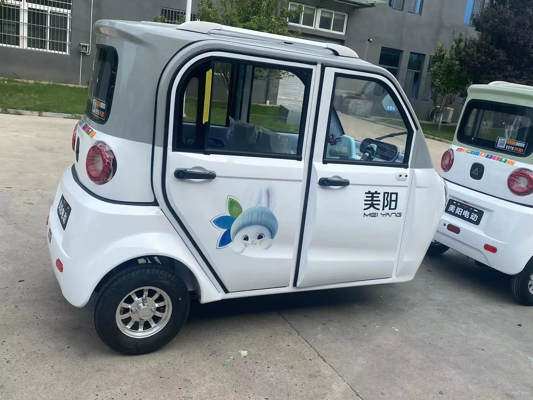 MEIYANG Customized 1500W Adult Electric Tricycle 3-Wheel Closed Cabin Scooter with Customized Color