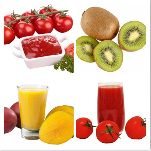 2022 1.5T/H Commerical high quality 304 stainless steel fruit pulper machine mango juicer extractor machine for sale