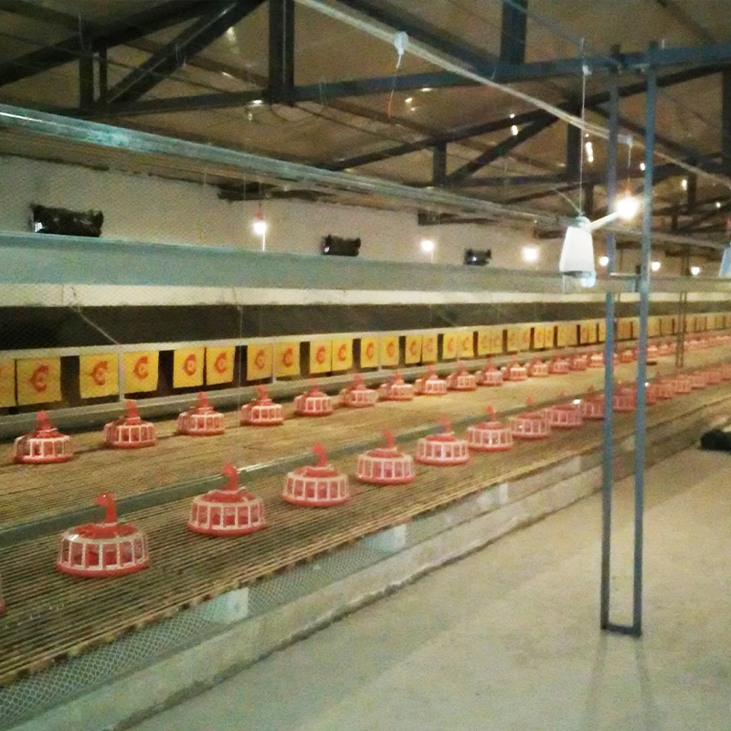 BOLONG Free range chicken egg collection equipment chicken coop chicken nesting box