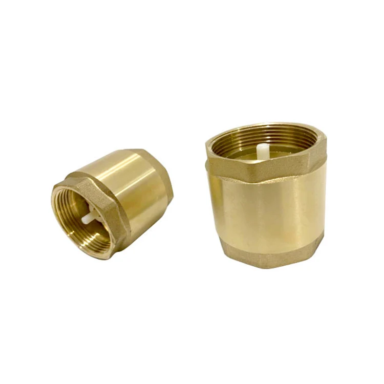 Support samples Thread Brass Water Vertical Spring Stainless Non Return Valve