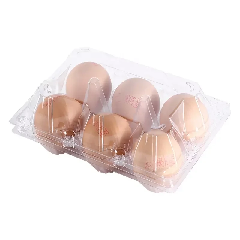 Wholesale Custom Plastic Egg Tray 6-Hole Clear Egg Storage Container Thick Plastic Egg Carton Box for Agriculture Use