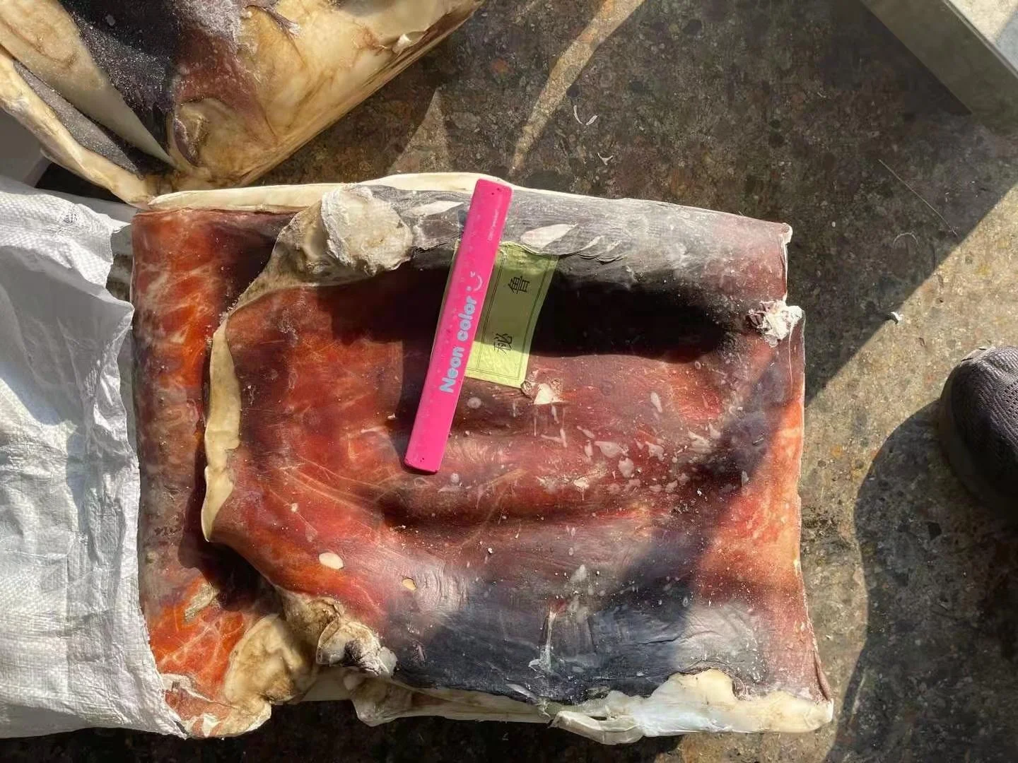 Wholesale Good Sale Seafood Frozen Peru Squid Meat With Skin Giant Squid Fillet