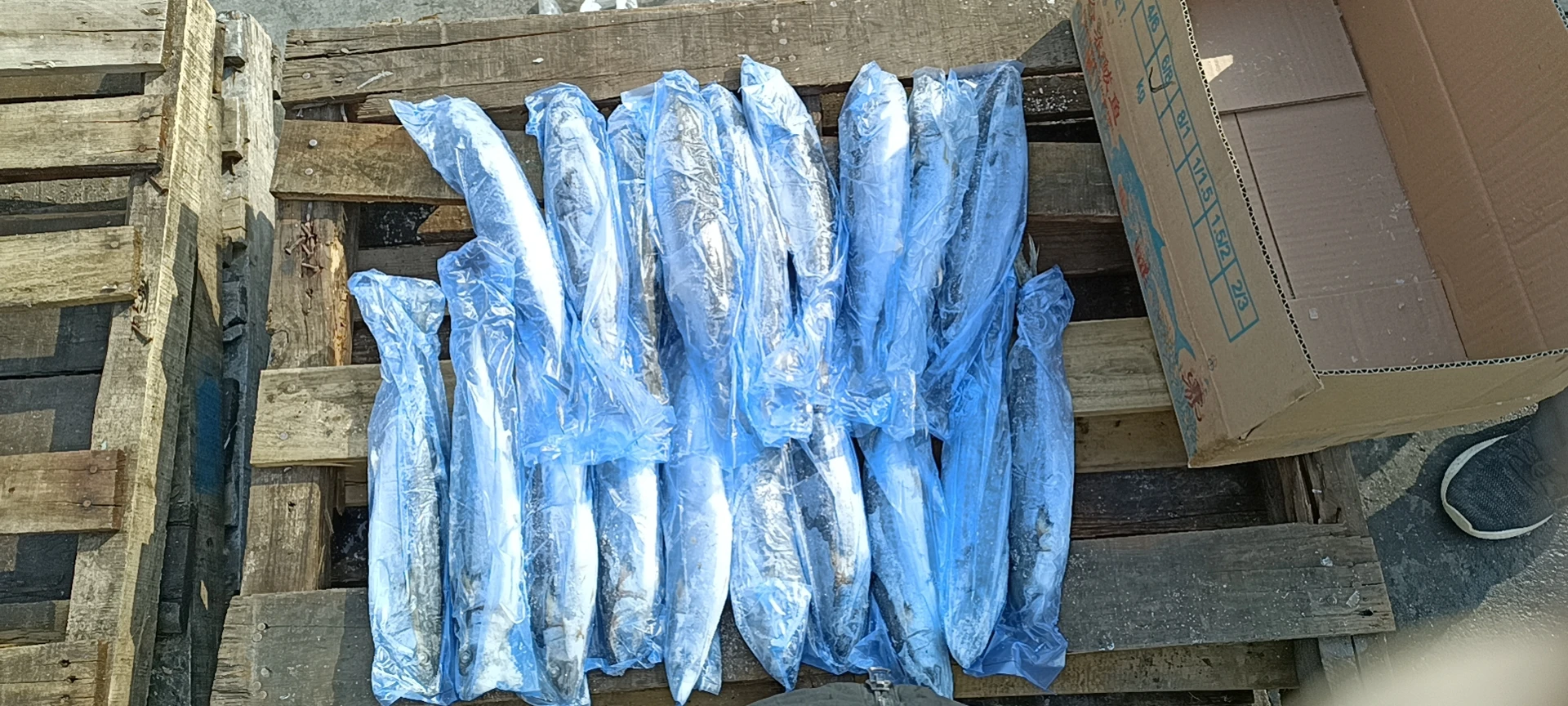 Hot Sale and High Quality Frozen Spanish Mackerel
