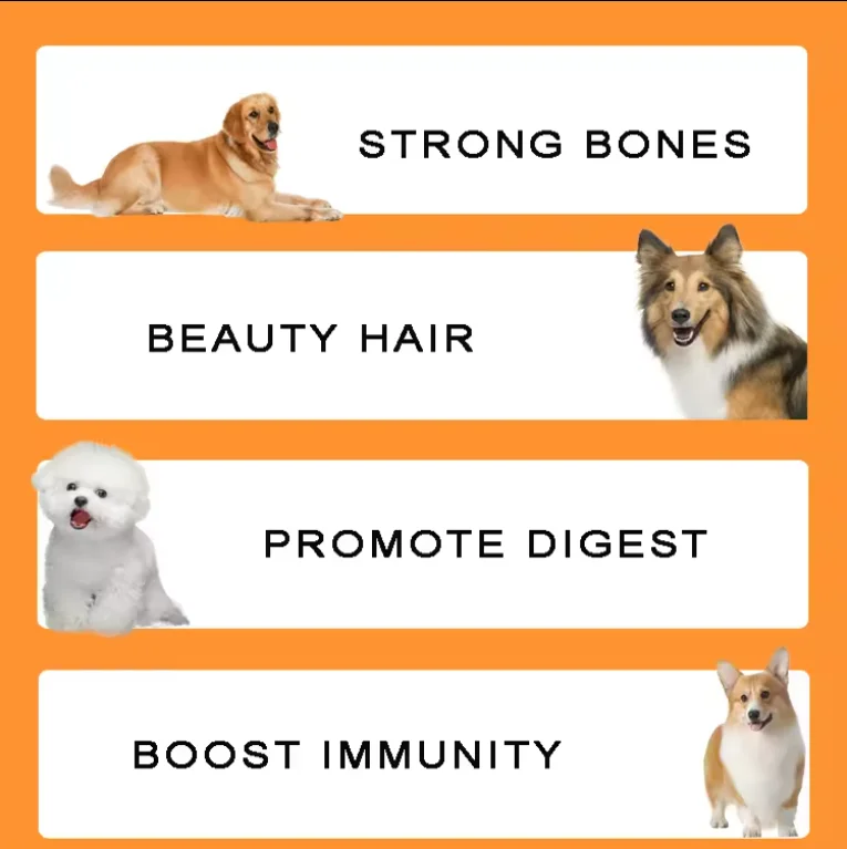 Cheap Price Wholesale Pet Food Factory Exports 2.5Kg 10Kg Natural Chicken Flavors Shapes All Age Dry Cat Food