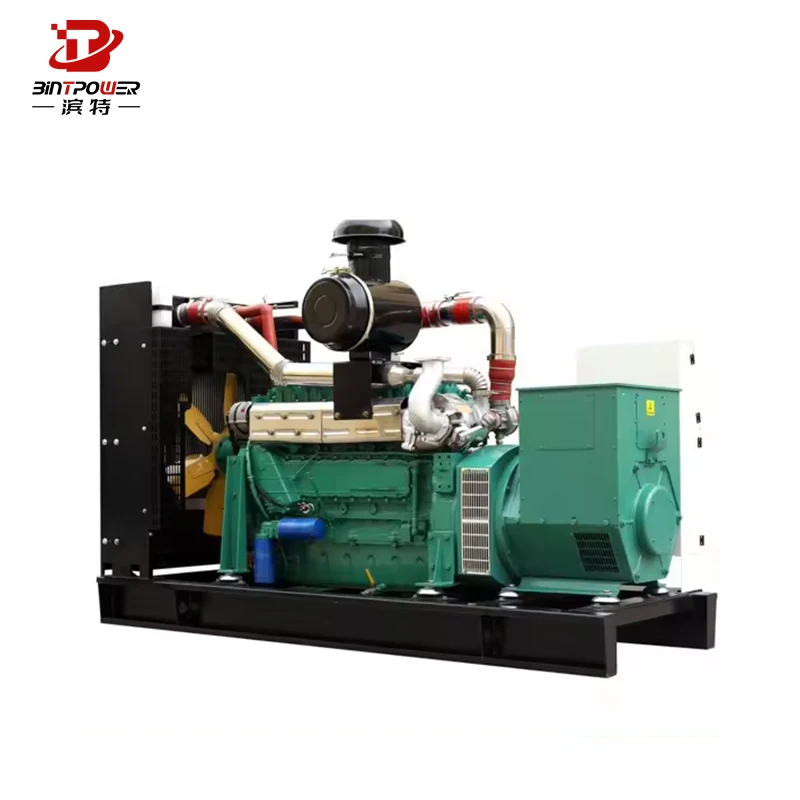 200Kw Natural Gas Generator Set Water-Cooled With High Temperature Resistance Electric Start For Lpg Biogas Turbine Generator