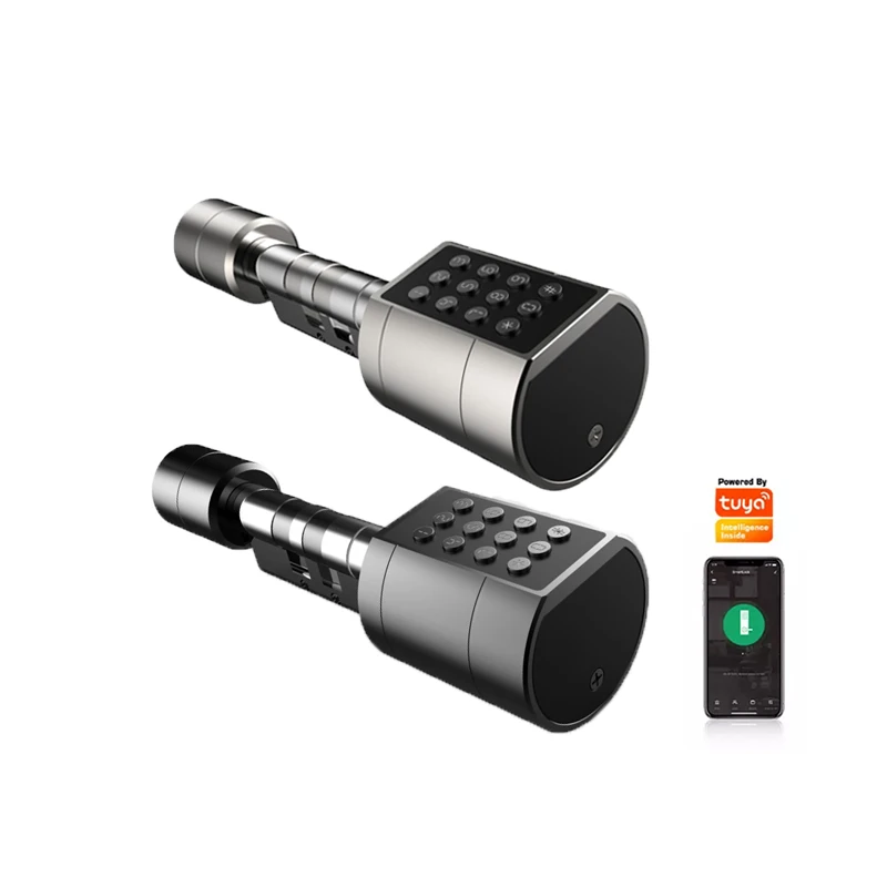 Goking brass door lock cylinder tuya wifi wholesale smart home lock password bluetooth key smart door lock