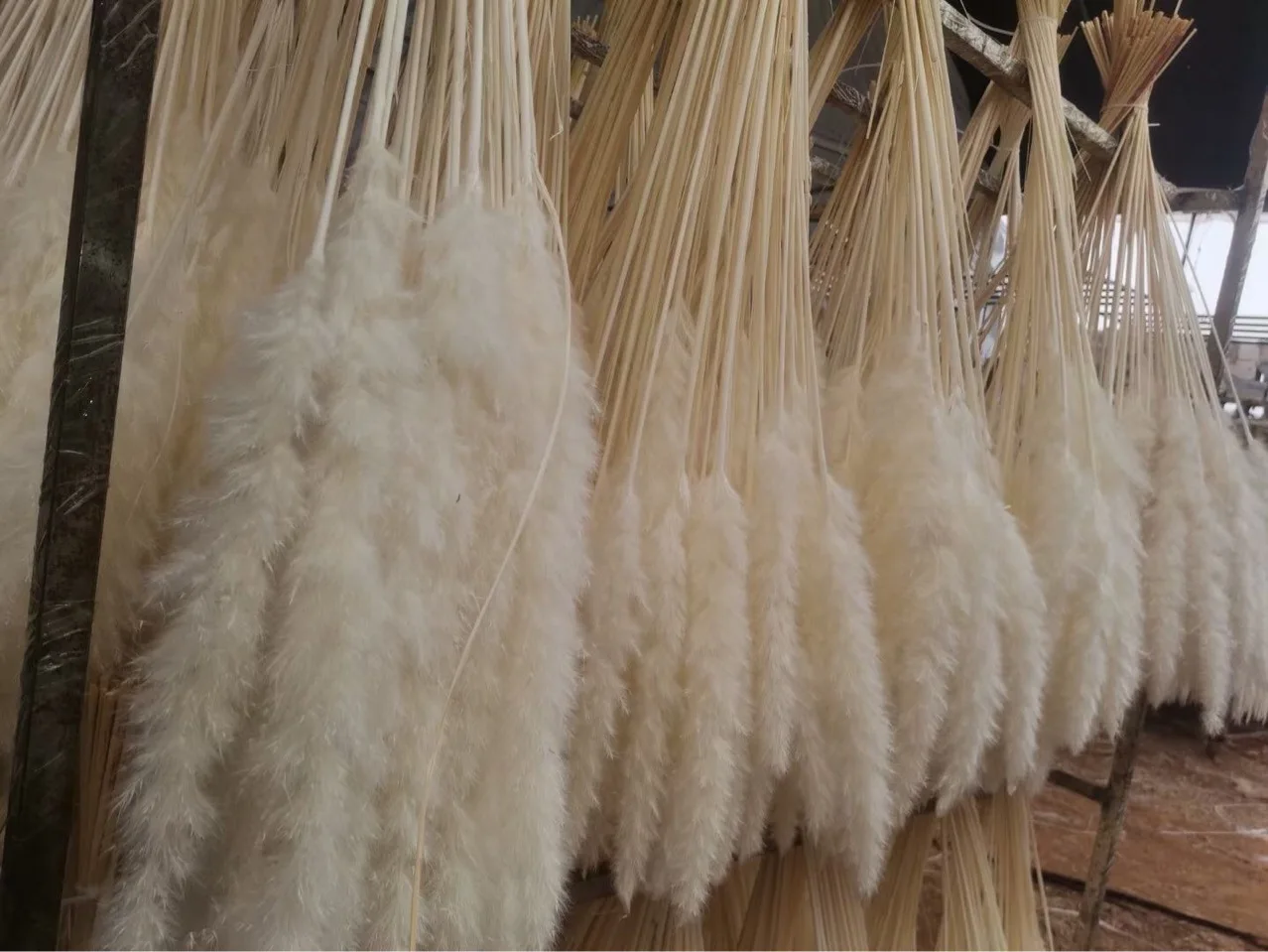Good Selling Faux Pampas Decor Manufacturers Artificial Feather Pampass Grass