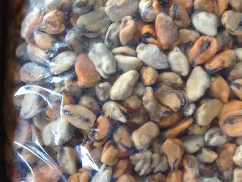 Hot sale frozen cooked China mussel meat