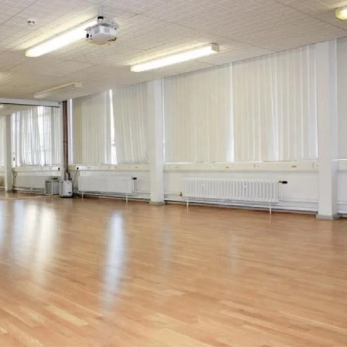 Прочный натуральный кленовый Деревянный Танцпол для продажи