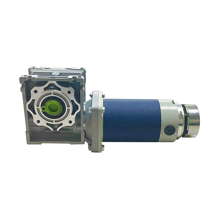 Manufacturer Well Made High Speed 3000rpm Worm Drive Dc Motor Dc Brush Worm Gear Motor