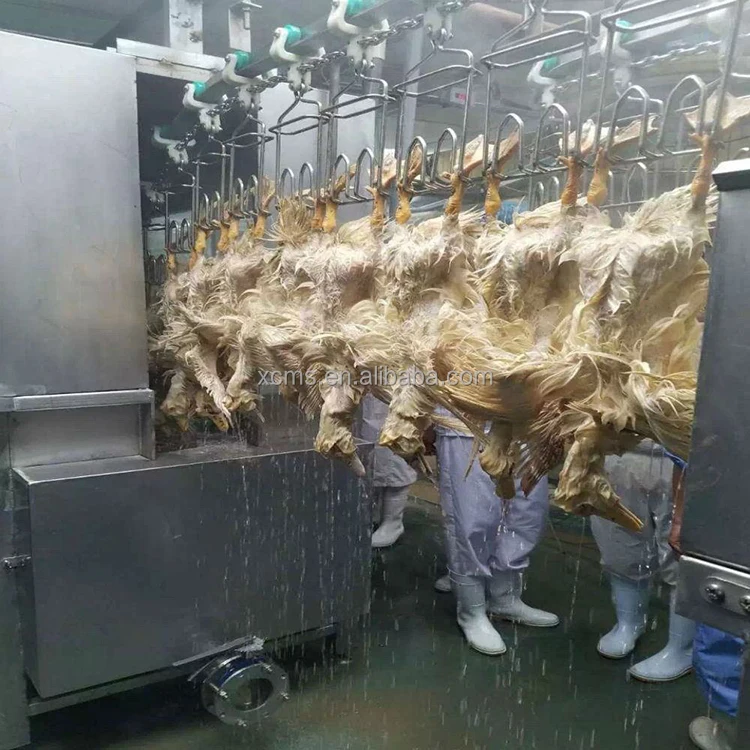 2022 hot sale Chicken Duck Goose Rabbit Pigeon turkey Poultry Processing Plant Slaughtering Equipment