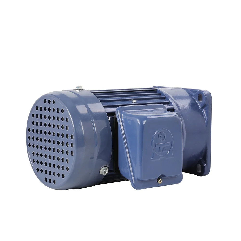 Single Phase 110V/220V 3KW AC Induction Gear Motor With Speed Control Function