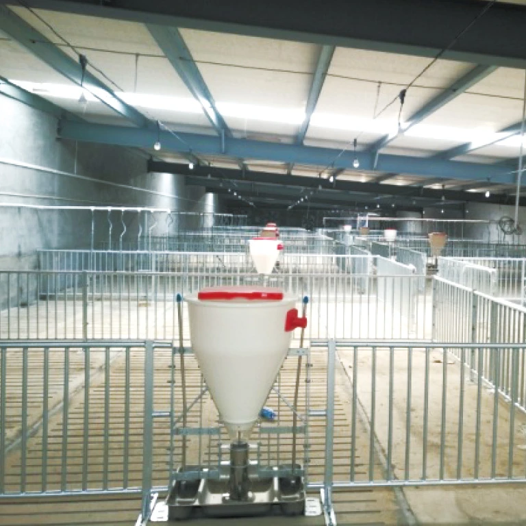 Livestock husbandry equipment manufacturer factory direct supplier hog fatten crate piglets finishing pen sow stall for sale