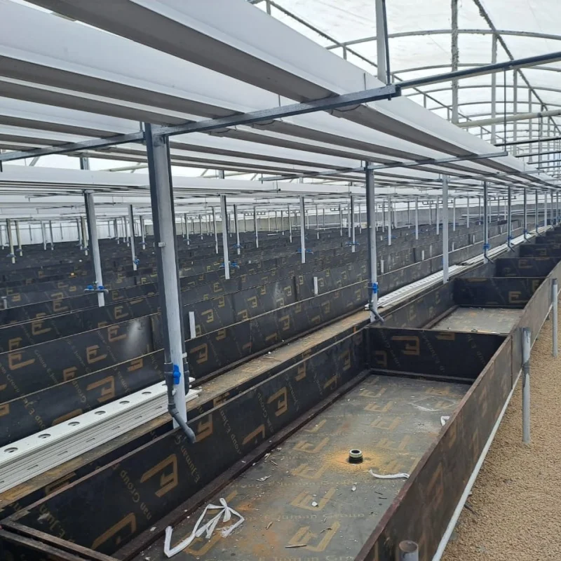 G And N Fortune Limited Pvc Pipe Plants hydroponics system nft Hydroponics Nft Pipe Accessories