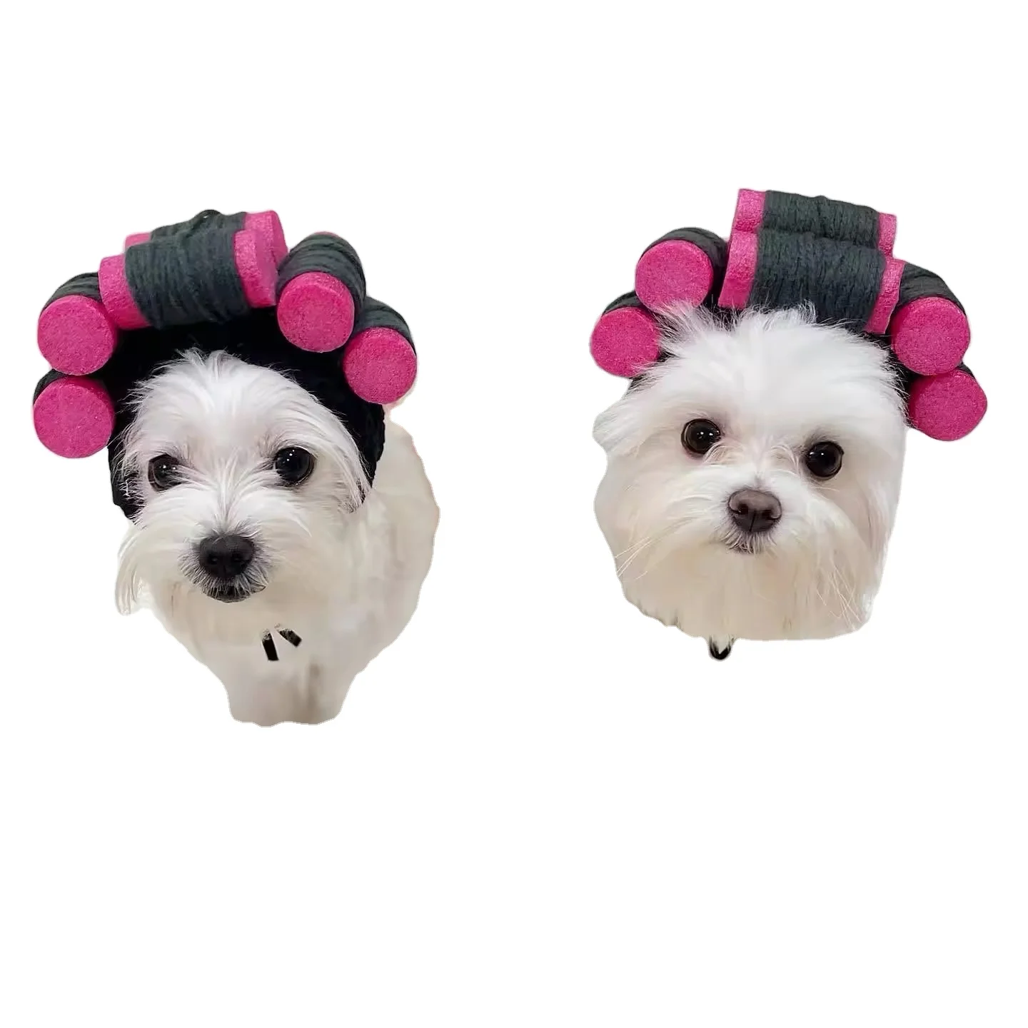 New Arrival Pet Safety Riding Outfit Solid Pattern Plastic Motorcycle Helmets for Dogs Cats with Ear Holes Hair Accessories