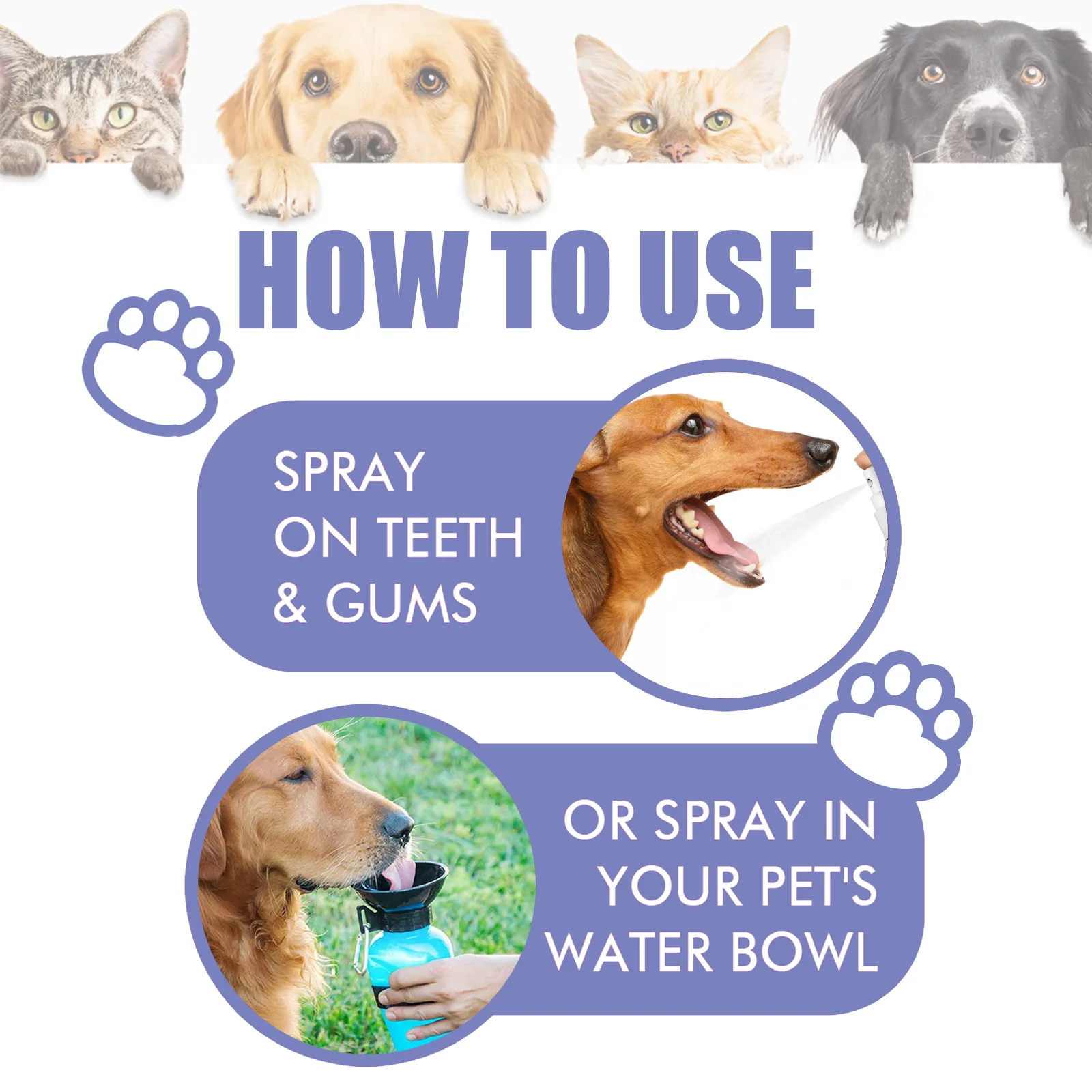 Pet Mouth Cleaning Deodorant Spray Cat Dog Teeth Care Cleaner Cleaning Cat Bad Breath Pet Equipment 60ml