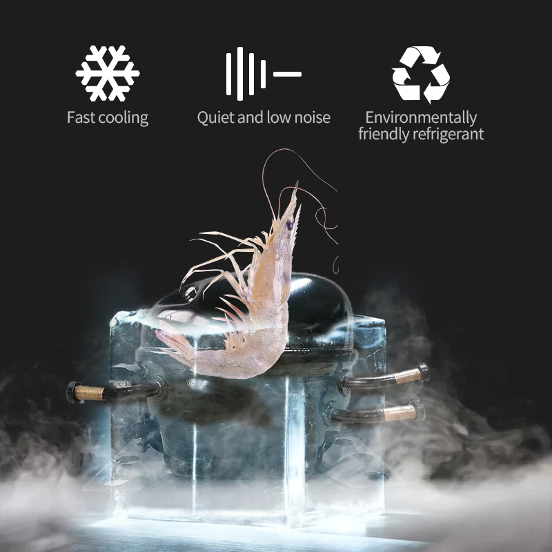 MUXUE  vertical freezer Commercial Refrigerator stainless steel commercial freezer Cold storage 6 door upright deep freezer