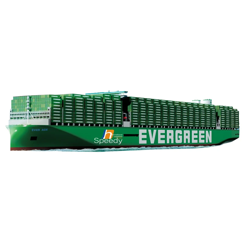 freight forwarder agent express services cargo ship from china to Netherlands and fast shipping