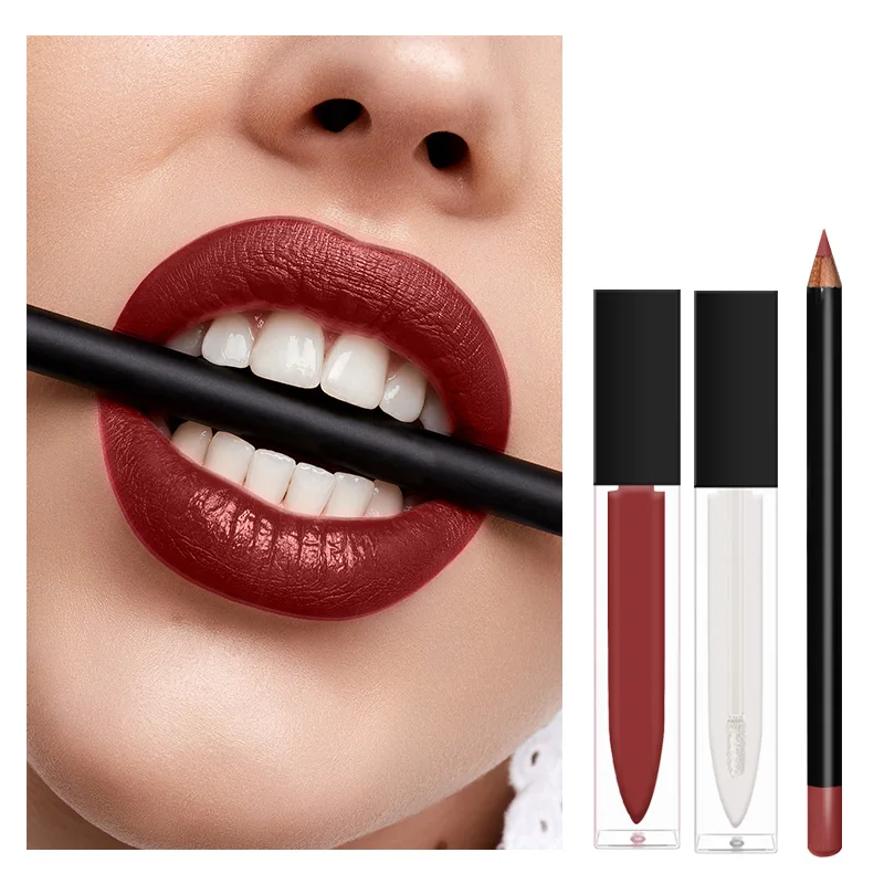 Private Label Long Lasting Wholesale Waterproof Custom Glossy Lip Liner Lipstick Makeup Cosmetics Lip Kit