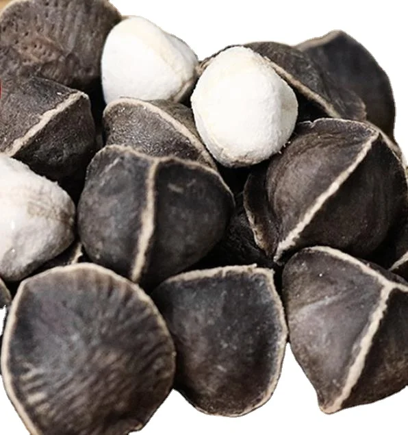 Natural big size dried raw loose Drumstick tree seeds for health foods