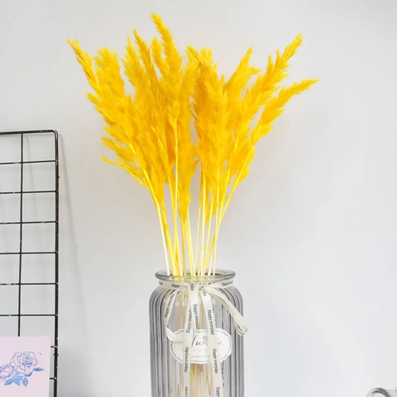 Natural Dried Flowers Small Natural Pampas Grass Wedding Wall Decoration Home Arrangement Office Baby Pampas