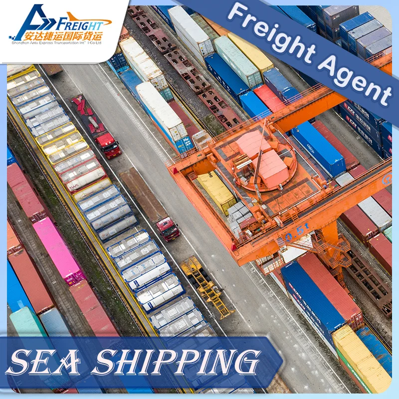 Reliable Sea Shipping Agent for Shenzhen to Estonia Logistic Forwarder Sea Shipping