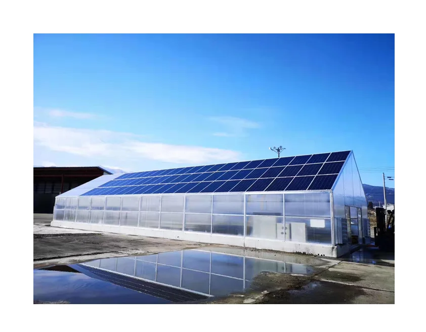 Urban Farming Hidroponik Single Span Polycarbonate greenhouse for global industrial hemp Growing Medicinal Hemp