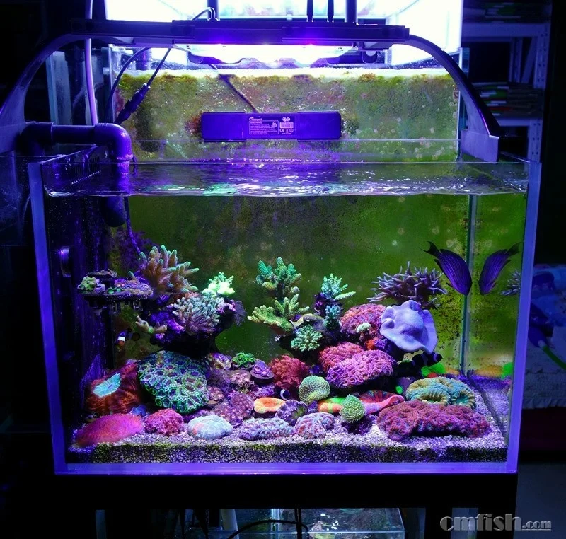 Беспроводной пульт дистанционного управления с регулируемой яркостью коралловых рифов светодиодный светильник 150 Вт Светодиодная подсветка для аквариума, 120 Вт led аквариум свет