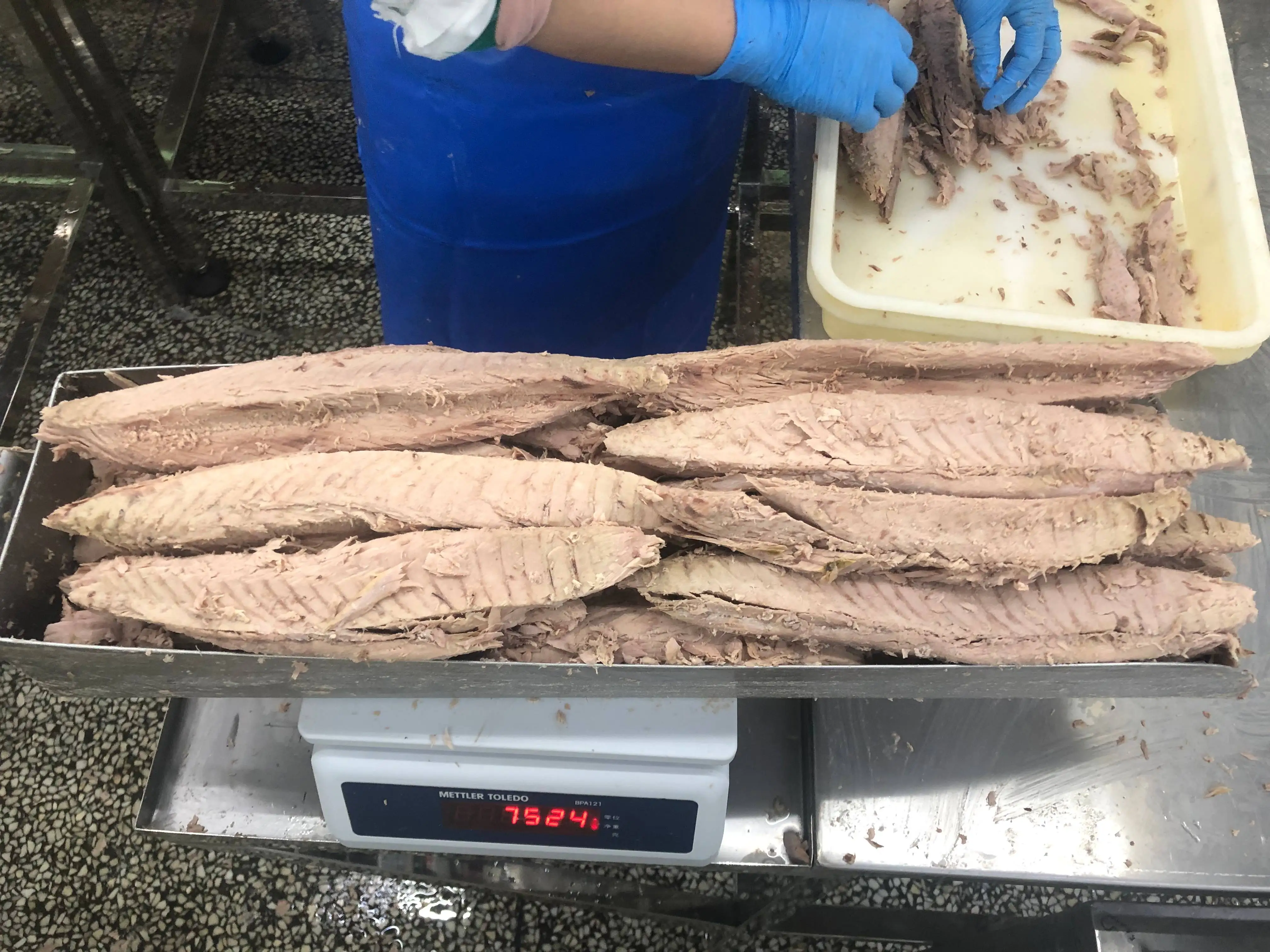 Frozen Skinless Boneless Yellowfin Tuna Loin 7.5kg Pacific Indian Ocean Vacuum Pack Box Fresh Canned Style