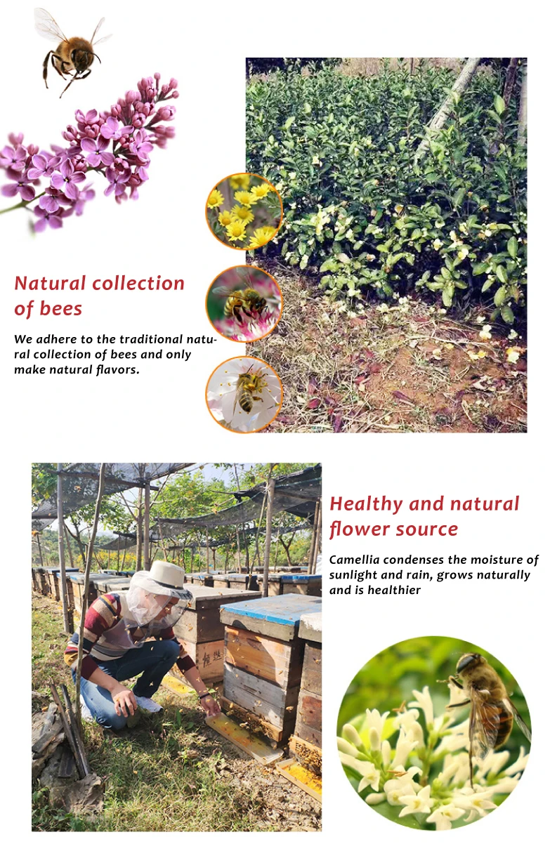  The best food for bees is pure natural tea pollen bee which can improve
