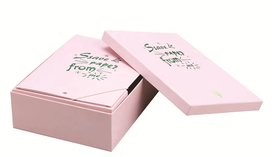 Customized Printing of Personal Design A4 File Storage Box