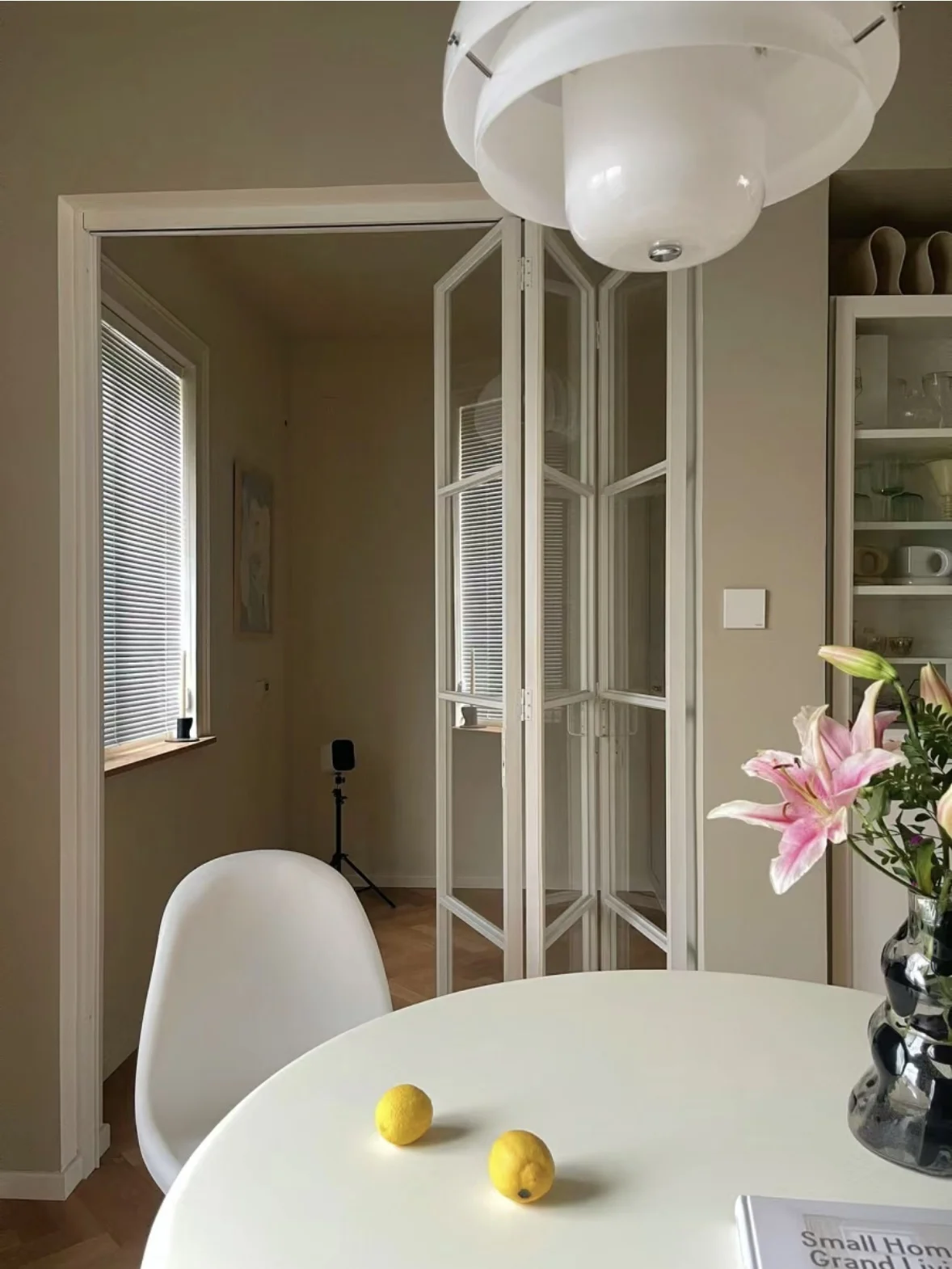 Retractable Aluminum Metal Gate Anti-Throttle Kitchen Sliding Door for Outdoor Use Manual Control Opening Pattern Glass Door