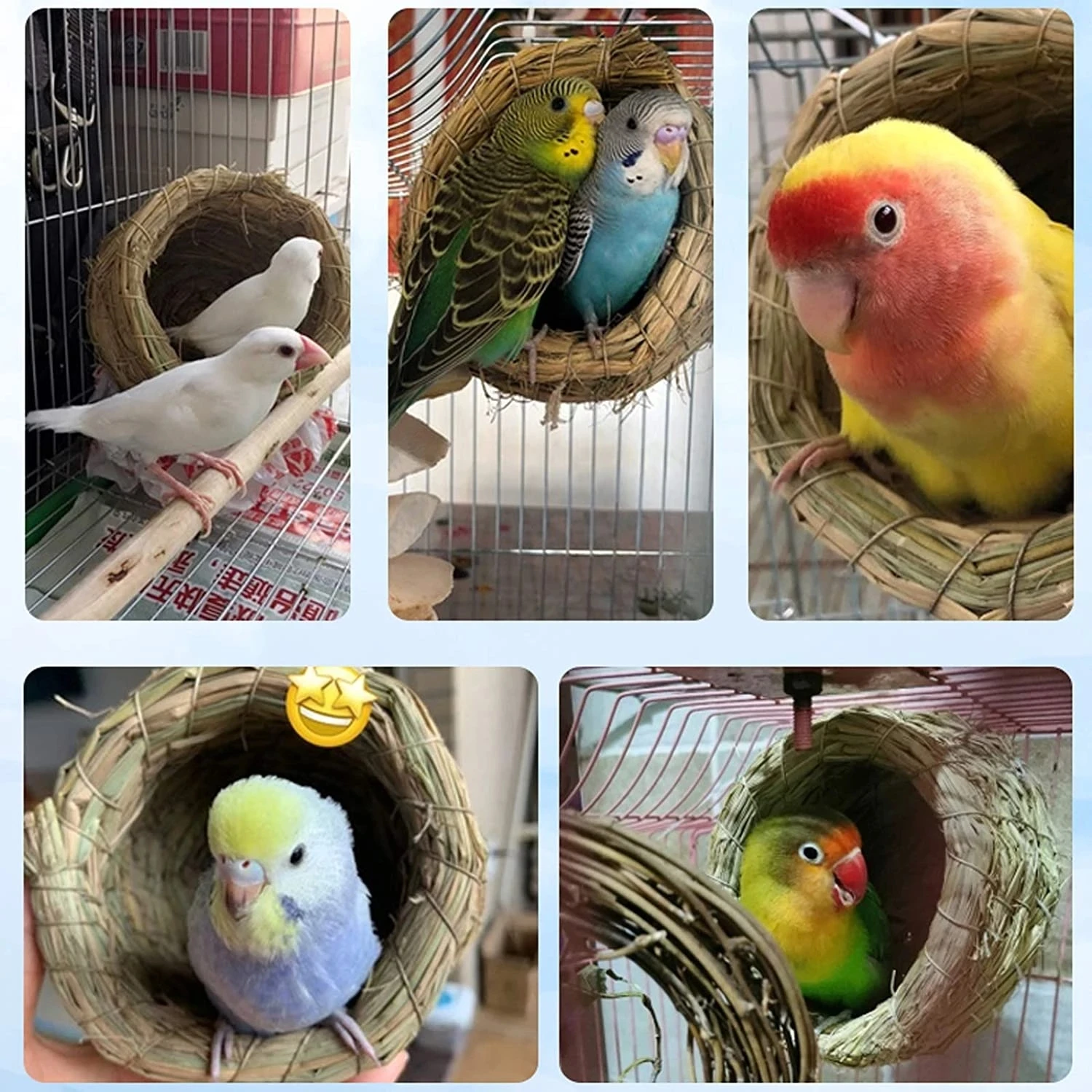 Peony bluebird pearl budgerigar multicolor breeding nest bird nest supplies appliances