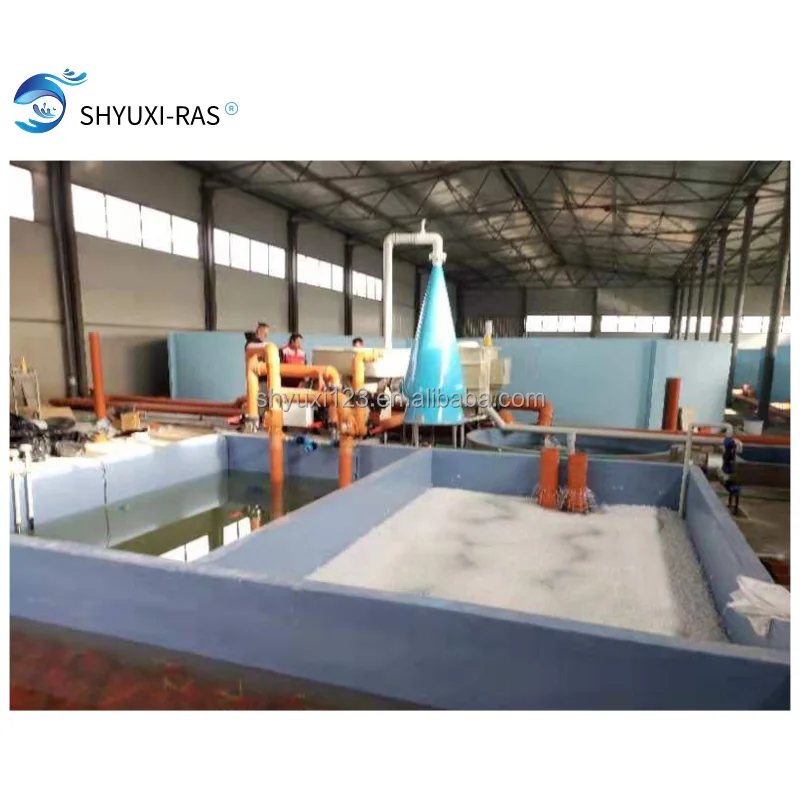 500 Square Meters Factory Circulating Water Aquatic Breeding System for RAS equipment