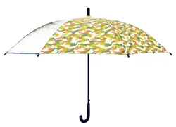 Clear Bubble Umbrella Transparent Stick Umbrellas Auto Open Windproof with European Jstraight umbrella  pongee with POE windows