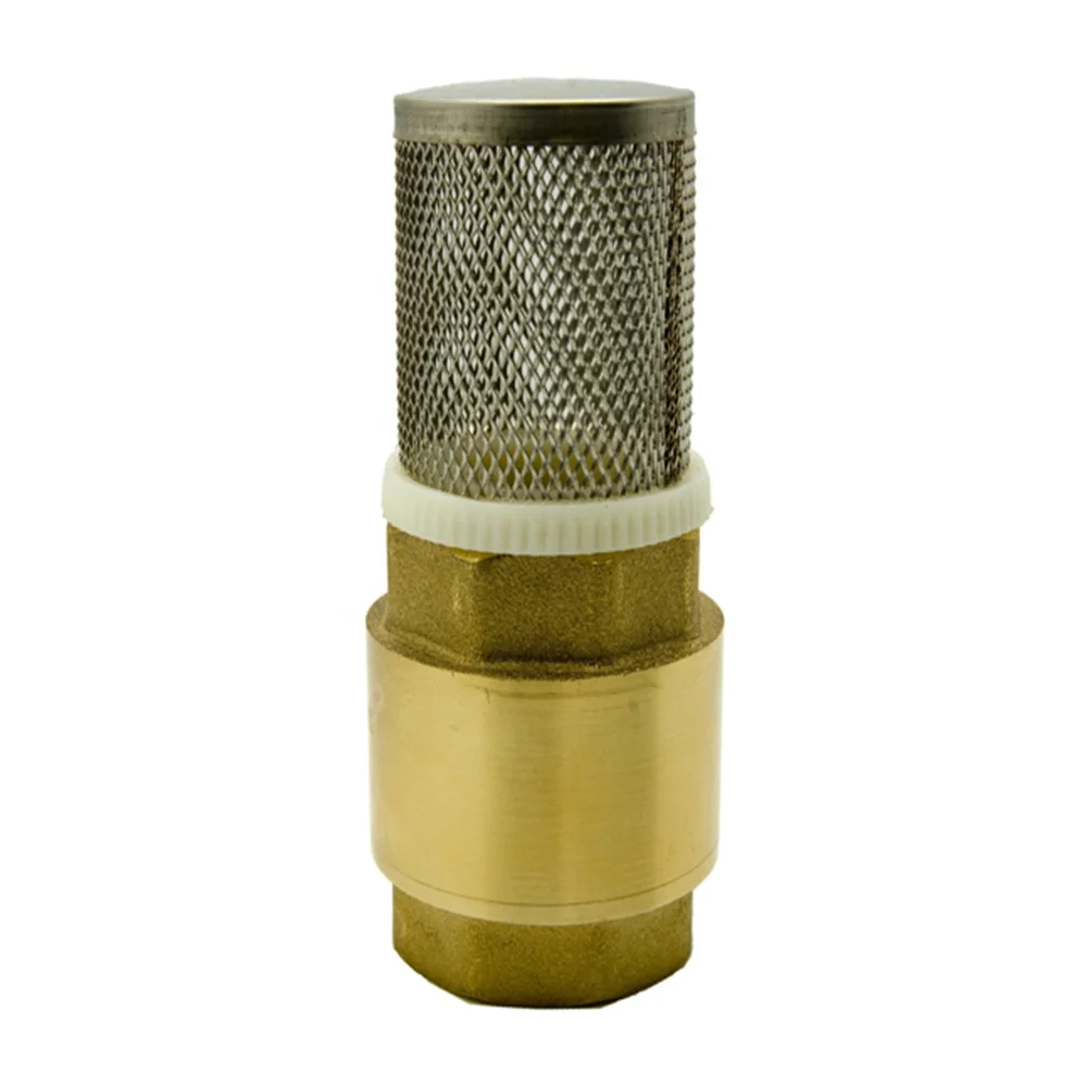 
Otore 1 Inch Brass Spring Check Valve Non Return Valve 