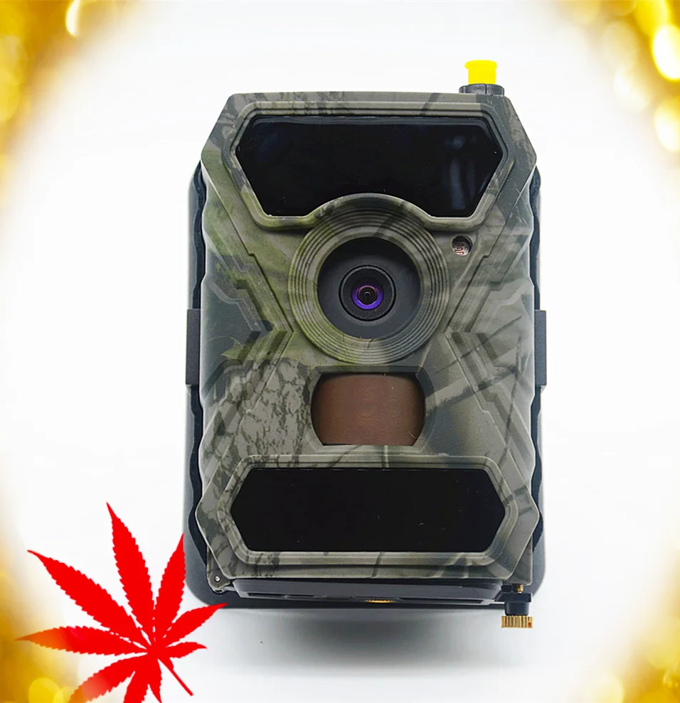 Охотничья камера