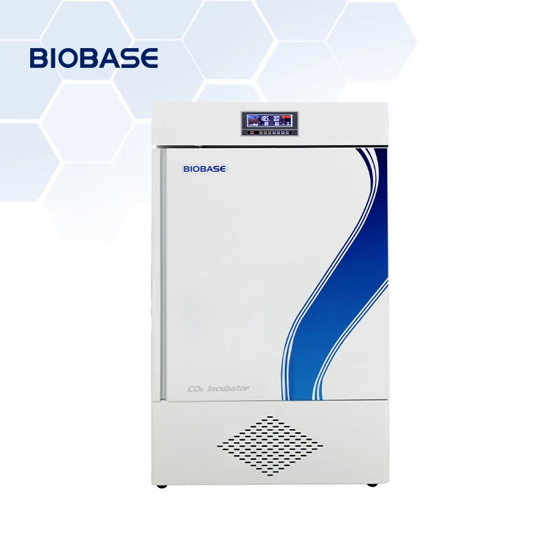 BIOBASE Factory Direct Constant-Temperature Incubator Touch Screen machine laboratory Medical Incubator
