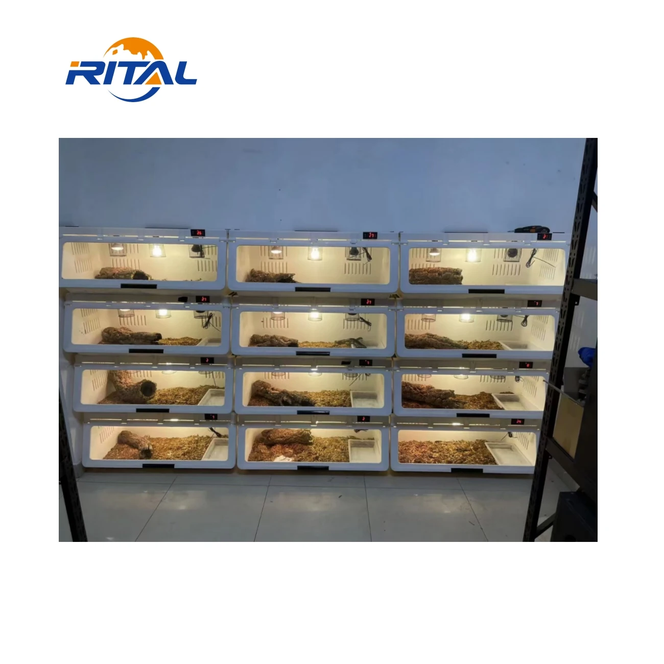 Reptile Screen Cage Snake Enclosure Lizard Terrarium Cage Ball Python Display Case Snake Tank