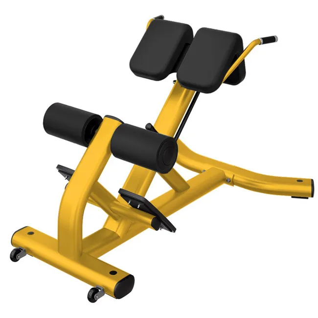 High-quality fitness equipment Roman Chair Reverse hyper extension Lower Back Exercise Benches 45 Degree Back Extension