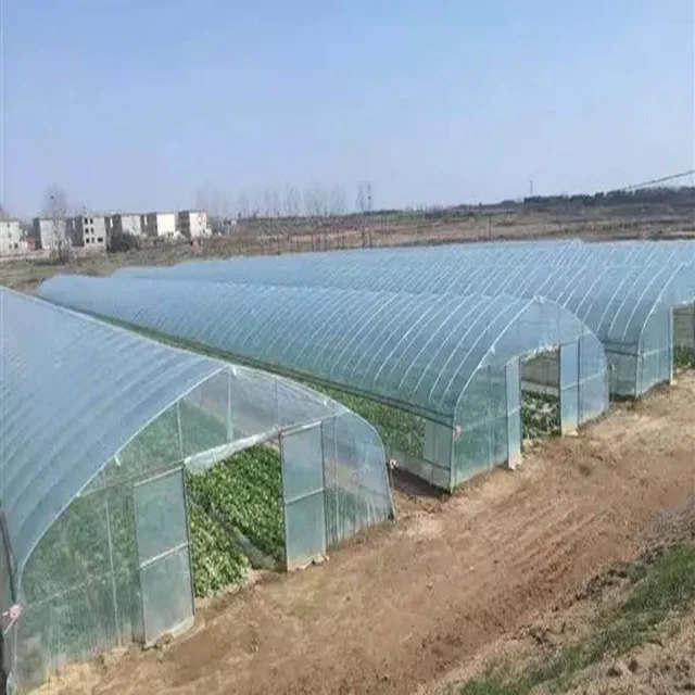 China high quality market commercial tunnel green house hot sale