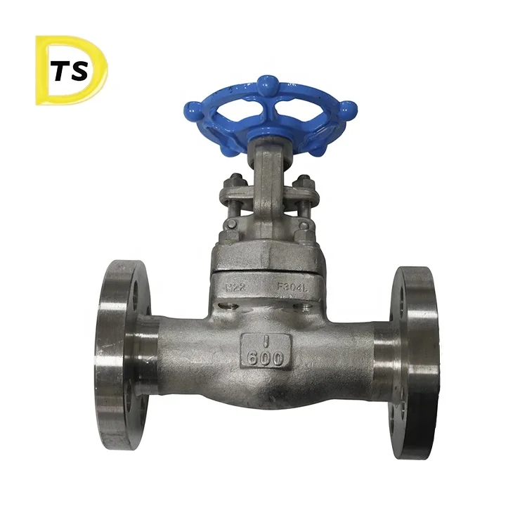 F304 F316 HOT Steam globe valve Bellow Seal Stainless Steel Forged Globe Valve