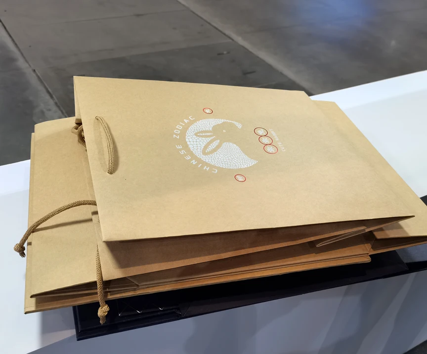 Subscription Supplement Packaging Box with shopping bag Shipping Boxes Cosmetic Gift Cardboard Kraft Paper Boxes