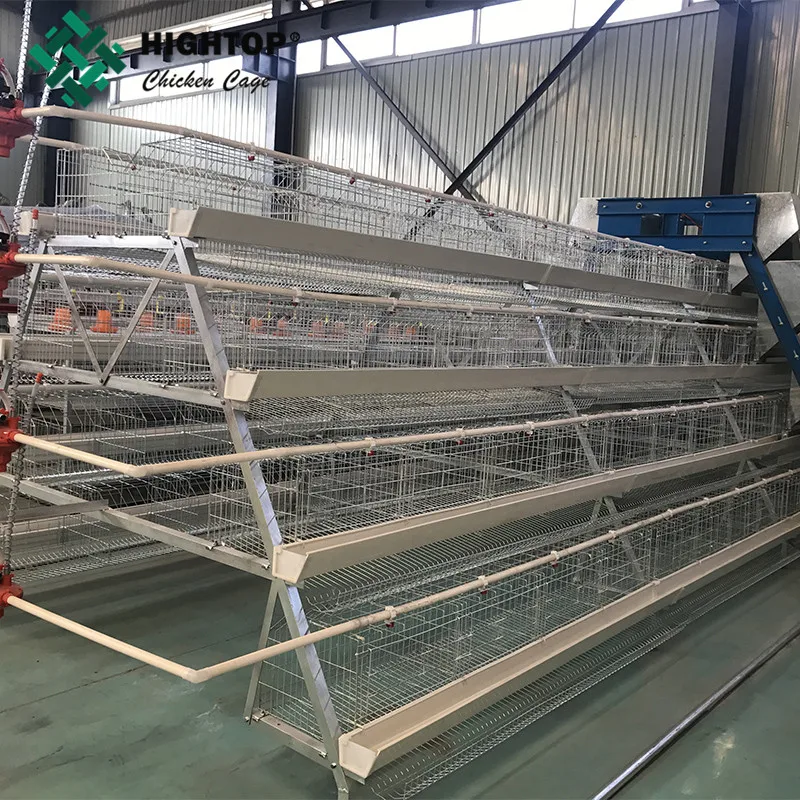 Factory Supply 500 Capacity Big Size Chicken Egg Layer Battery Cages