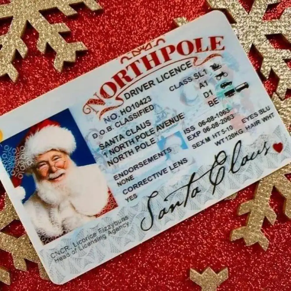 Christmas gift for kids Santa Claus sleigh license sleigh driving license