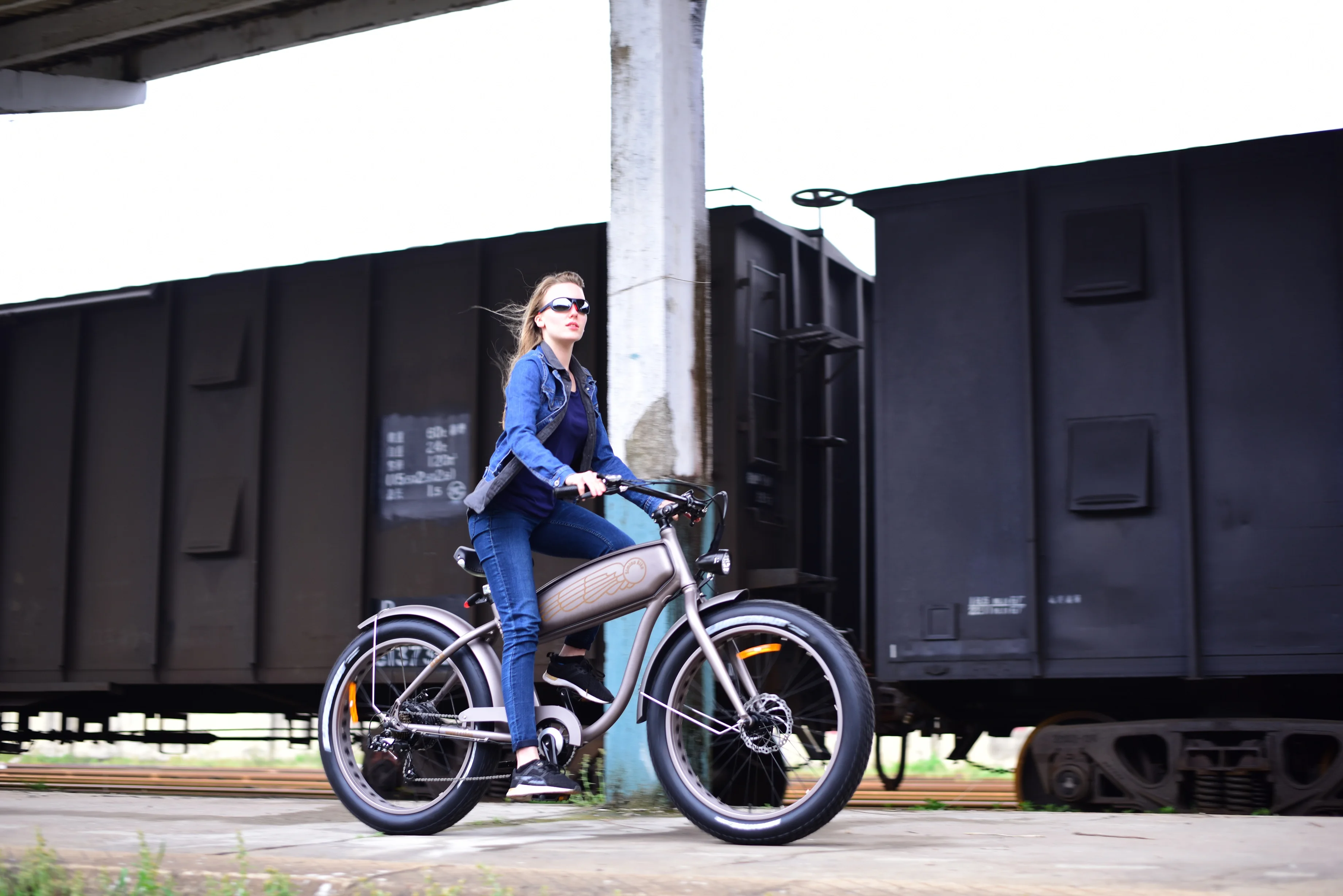 
48V battery powered electric bike with Bafang motor electric bicycle battery electric bike electric fat bike 