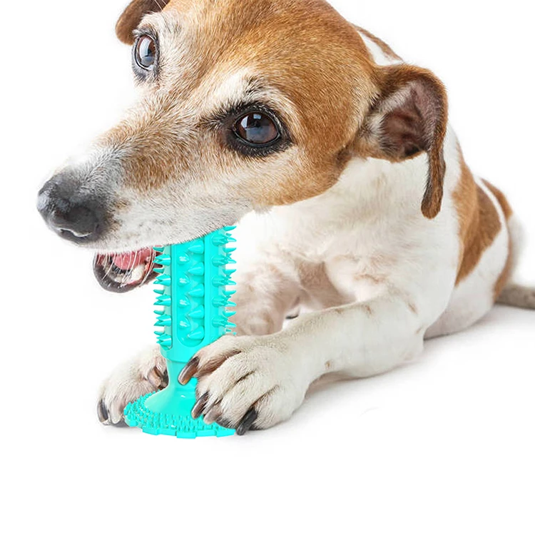 High Quality TPR Teeth Cleaning Serrated Molar Rod Pet Dog Playing Chew Toys Dog Toothbrush Pet Supplies