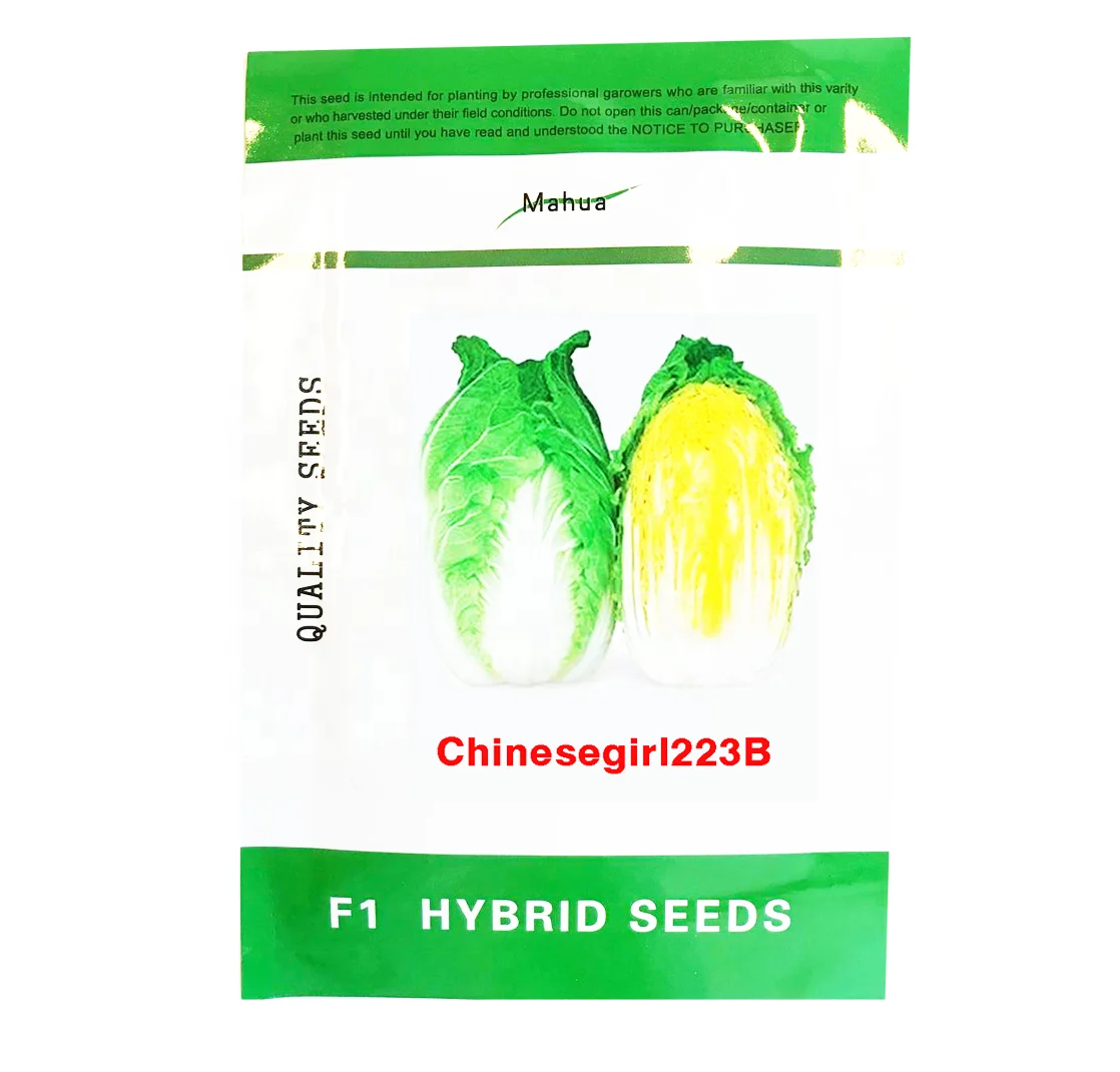 F1 hybrid Chinese cabbage seeds big fruit green color hot resistance having more moisture and low calories, rich in vitamin C, a